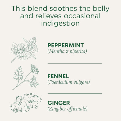 Traditional_Medicinals_Tea,_Organic_Belly_Comfort_Peppermint,_Promotes_Healthy_Digestion,_16_Tea_Bags