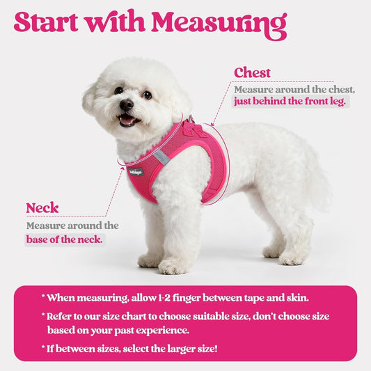 rabbitgoo_Dog_Harness_Small_Sized_and_Leash_Set,_Step_in_Soft_Light_Puppy_Vest,_Breathable_Mesh_Pet_Harness,_Reflective_for_Safe_Easy_Walking,_Rose_Red_S