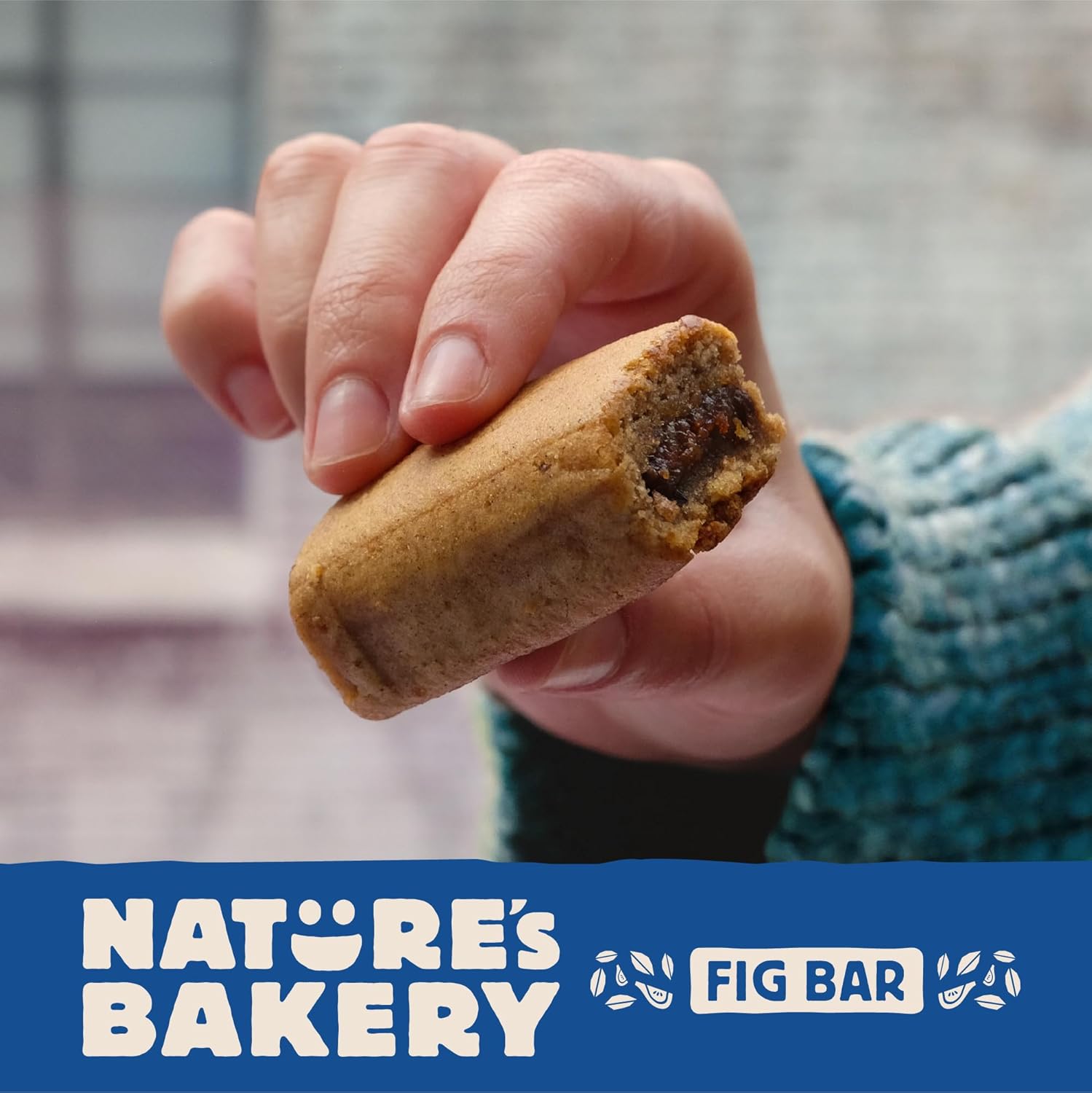 Nature’s_Bakery_Gluten_Free_Fig_Bars,_Blueberry,_Real_Fruit,_Vegan,_Non-GMO,_Snack_bar,_6_boxes_with_6_twin_packs_(36_twin_packs)