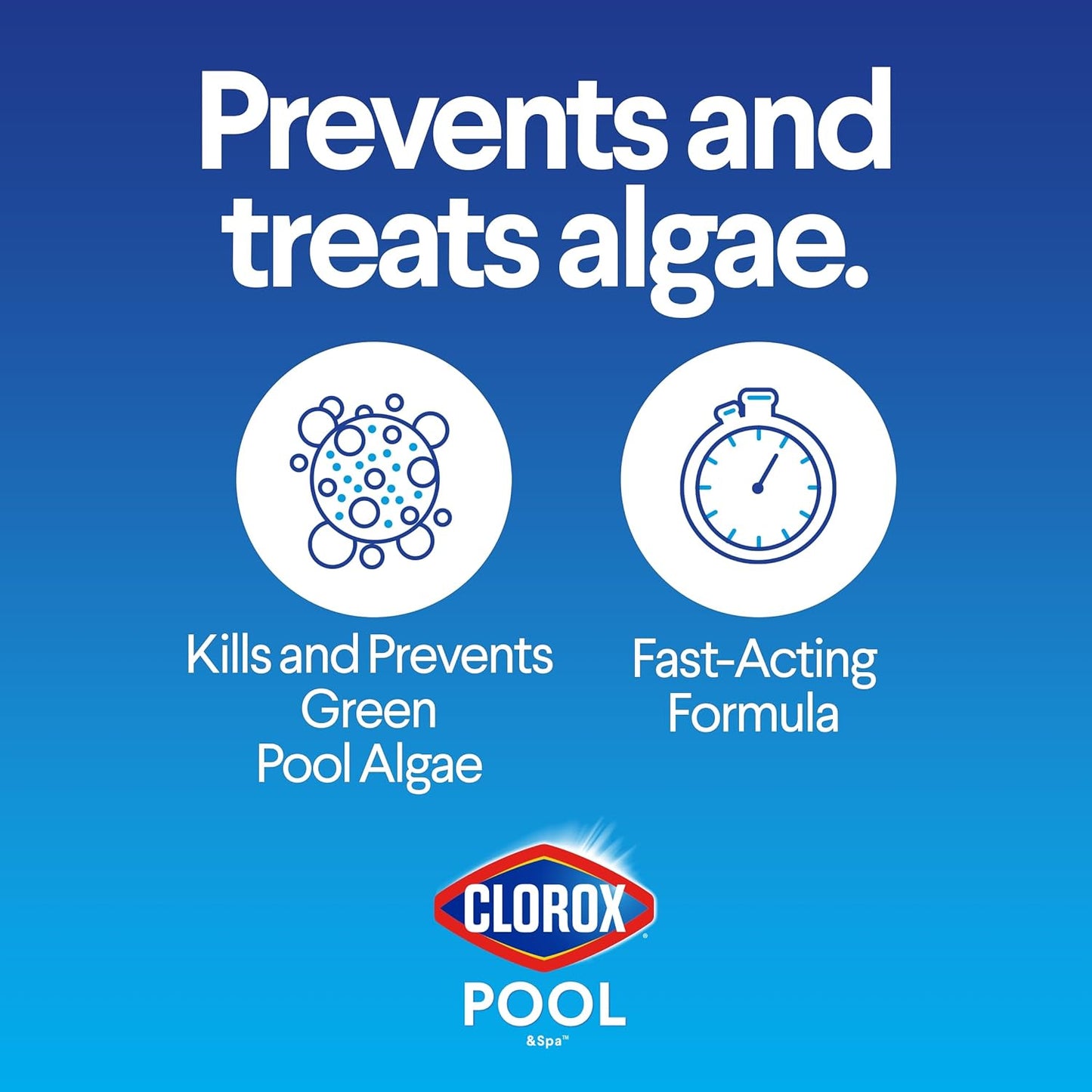 Clorox®_Pool&Spa™_Swimming_Pool_Algaecide,_Prevents_and_Treats_Pool_Algae,_Non-Foaming,_1_Quart_(Pack_of_1)