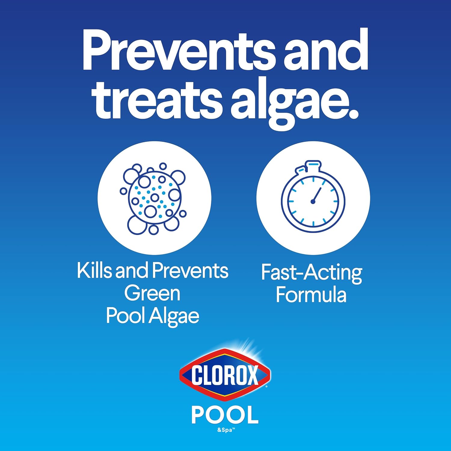 Clorox®_Pool&Spa™_Swimming_Pool_Algaecide,_Prevents_and_Treats_Pool_Algae,_Non-Foaming,_1_Quart_(Pack_of_1)