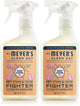 Orange Blossom - 16 Fl Oz (Pack of 2)