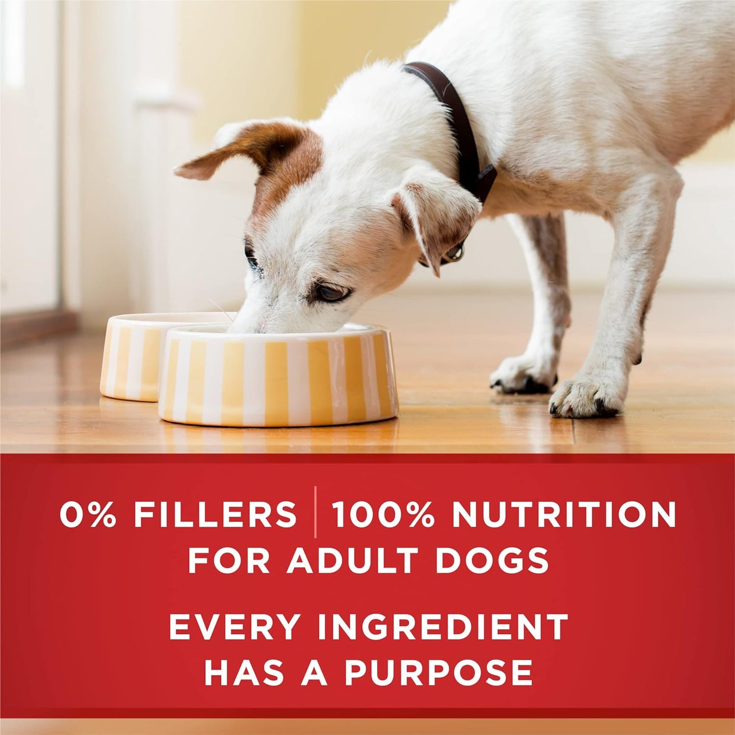 Purina_ONE_Classic_Ground_Chicken_and_Brown_Rice,_and_Beef_and_Brown_Rice_Entrees_Wet_Dog_Food_Variety_Pack_-_(Pack_of_6)_13_oz._Cans