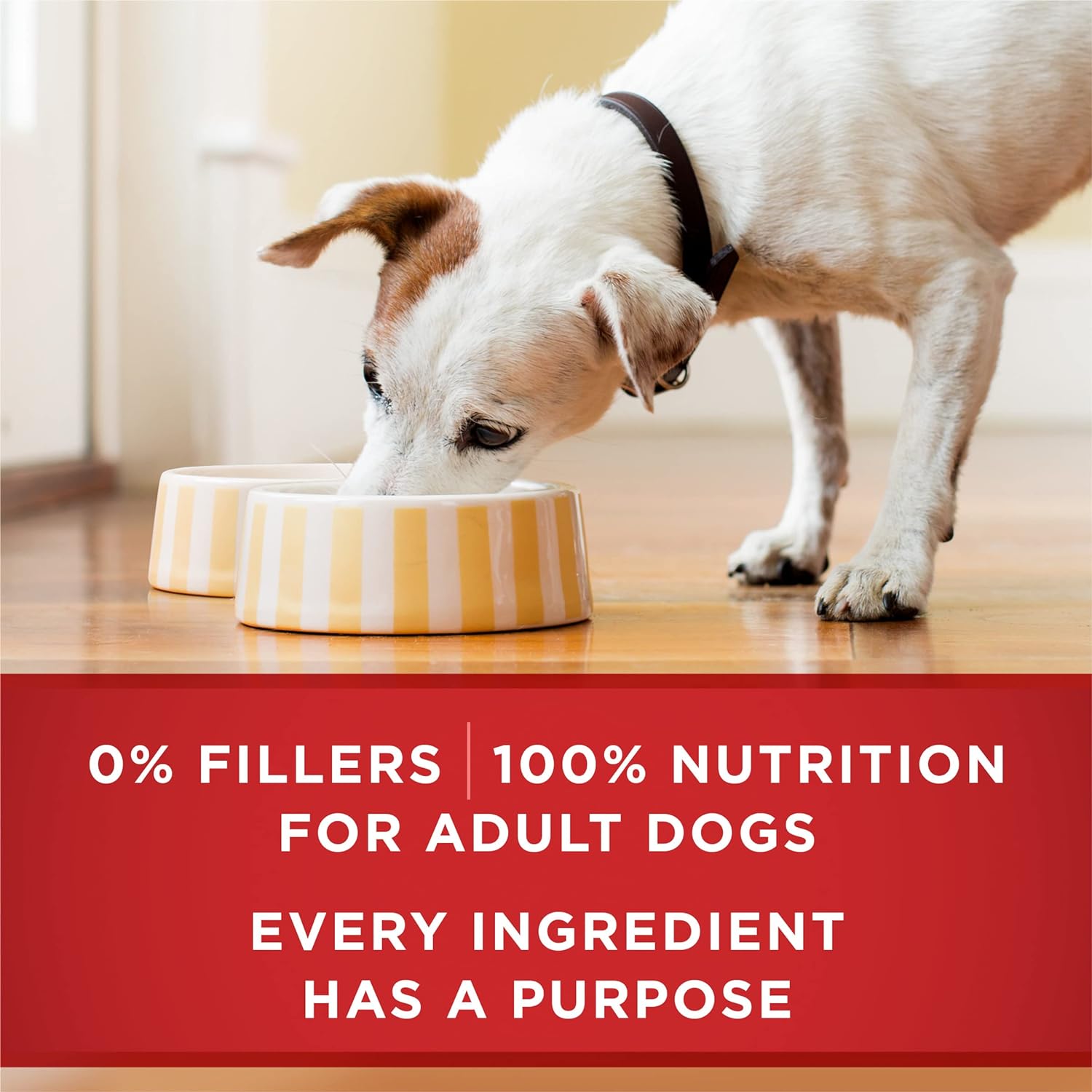 Purina_ONE_Classic_Ground_Chicken_and_Brown_Rice,_and_Beef_and_Brown_Rice_Entrees_Wet_Dog_Food_Variety_Pack_-_(Pack_of_6)_13_oz._Cans