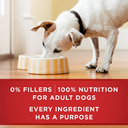 Purina_ONE_Classic_Ground_Chicken_and_Brown_Rice,_and_Beef_and_Brown_Rice_Entrees_Wet_Dog_Food_Variety_Pack_-_(Pack_of_6)_13_oz._Cans