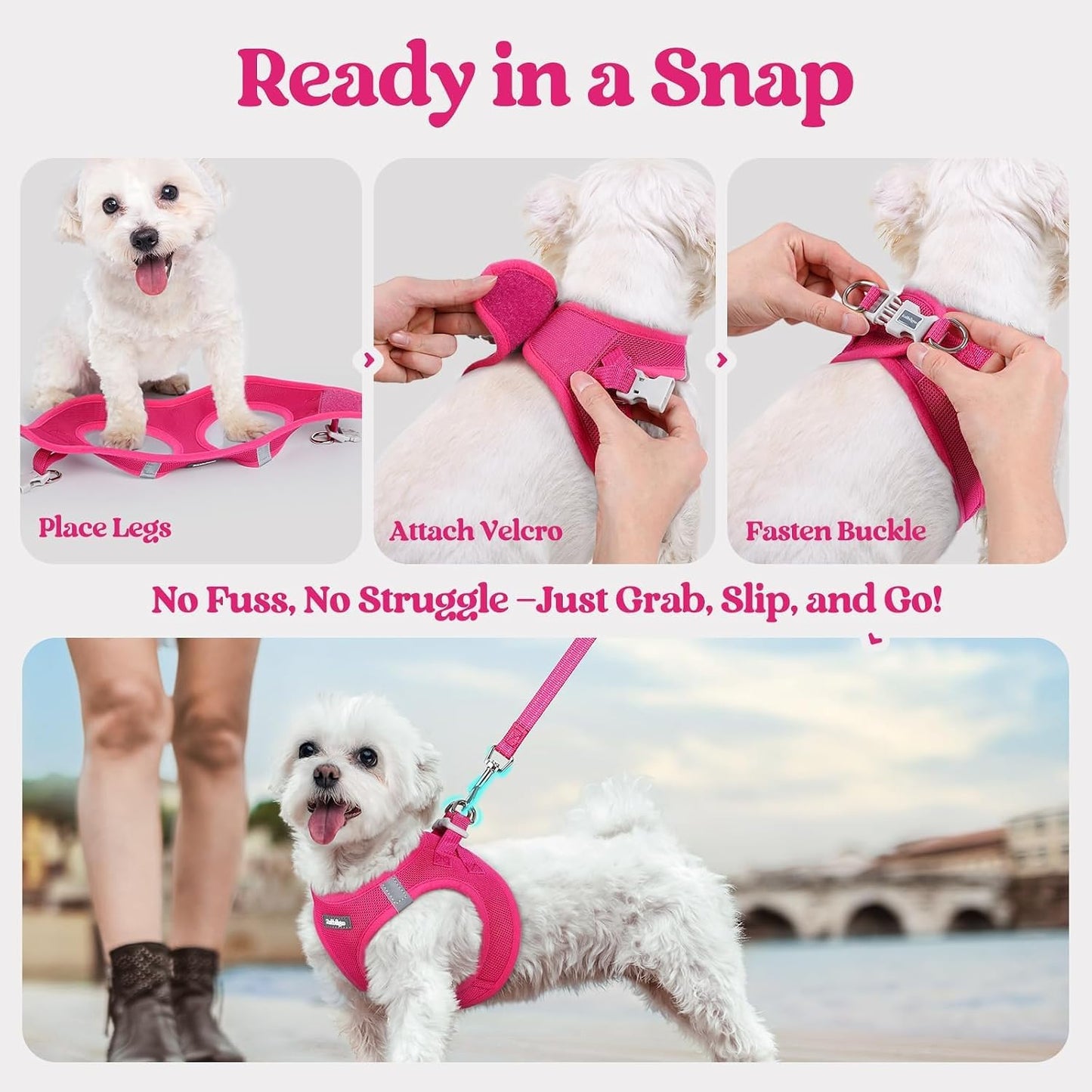 rabbitgoo_Dog_Harness_Small_Sized_and_Leash_Set,_Step_in_Soft_Light_Puppy_Vest,_Breathable_Mesh_Pet_Harness,_Reflective_for_Safe_Easy_Walking,_Rose_Red_S