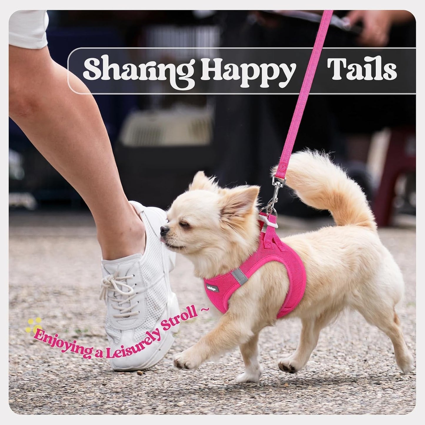 rabbitgoo_Dog_Harness_Small_Sized_and_Leash_Set,_Step_in_Soft_Light_Puppy_Vest,_Breathable_Mesh_Pet_Harness,_Reflective_for_Safe_Easy_Walking,_Rose_Red_S