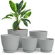 pack of 5 - Gray