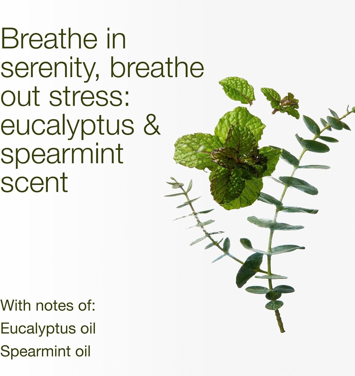 Bath_&_Body_Works_Eucalyptus_Spearmint_3-Wick_Candle_-_Scented_Candle_for_At-Home_Use_-_Long-Lasting,_Room-Filling_Fragrance_-_High_Fragrance_Oil_Concentration_-_Soy_Wax_Blend