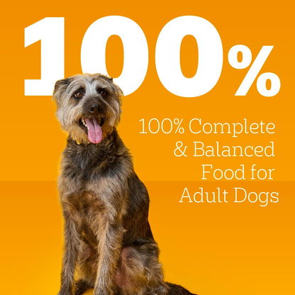 Pedigree_Wet_Dog_Food,_Choice_Cuts_Adult_Canned_Dog_Food,_Beef_&_Country_Stew_Multipack,_13.2_oz._Cans_(12_Count,_Pack_of_1)
