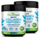 1 Pound (Pack of 2)