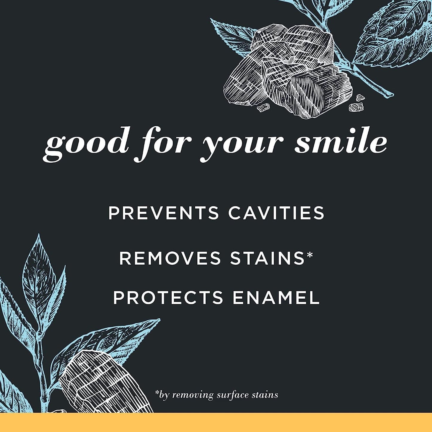 Burt's_Bees_Toothpaste,_Natural_Flavor,_Charcoal_with_Fluoride_Toothpaste,_Mountain_Mint,_3_x_4.7oz