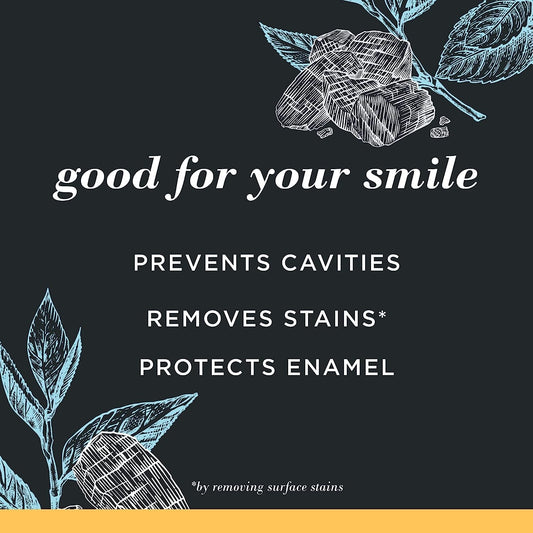 Burt's_Bees_Toothpaste,_Natural_Flavor,_Charcoal_with_Fluoride_Toothpaste,_Mountain_Mint,_3_x_4.7oz