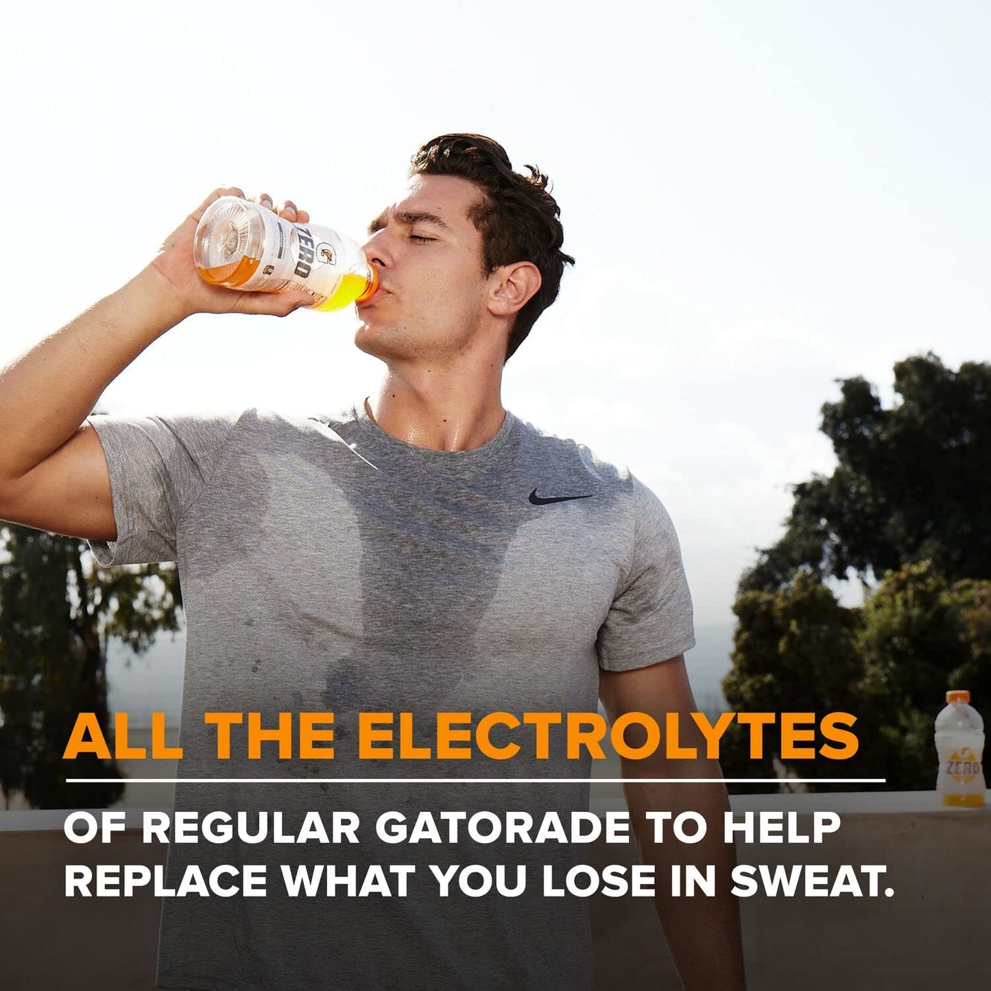 Gatorade_Thirst_Quencher_Zero_Sugar_Sports_Drink,_Grape,_12oz_Bottles,_12_Pack,_Electrolytes_for_Rehydration
