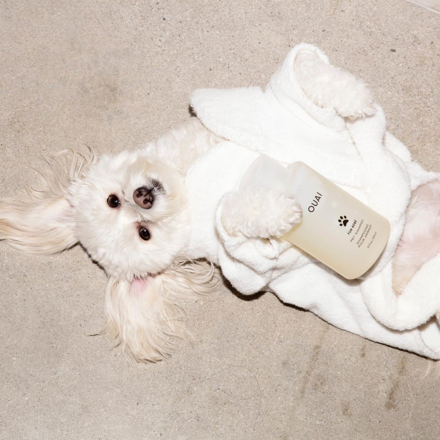OUAI_Fur_Bebe_Pet_Shampoo_-_Cat_&_Dog_Shampoo_for_Gentle_Cleansing,_Hydration_&_Shine_-_Vegan_&_Cruelty-Free_Pet_Supplies_with_Aloe_Vera_&_Panthenol_-_Mercer_Street_Scent_(16_Fl_oz)