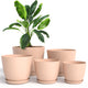 pack of 5 - Peach Pink