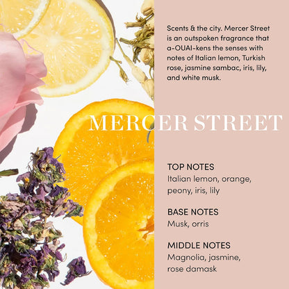 OUAI_Fur_Bebe_Pet_Shampoo_-_Cat_&_Dog_Shampoo_for_Gentle_Cleansing,_Hydration_&_Shine_-_Vegan_&_Cruelty-Free_Pet_Supplies_with_Aloe_Vera_&_Panthenol_-_Mercer_Street_Scent_(16_Fl_oz)