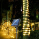 Warm White - 100 LED