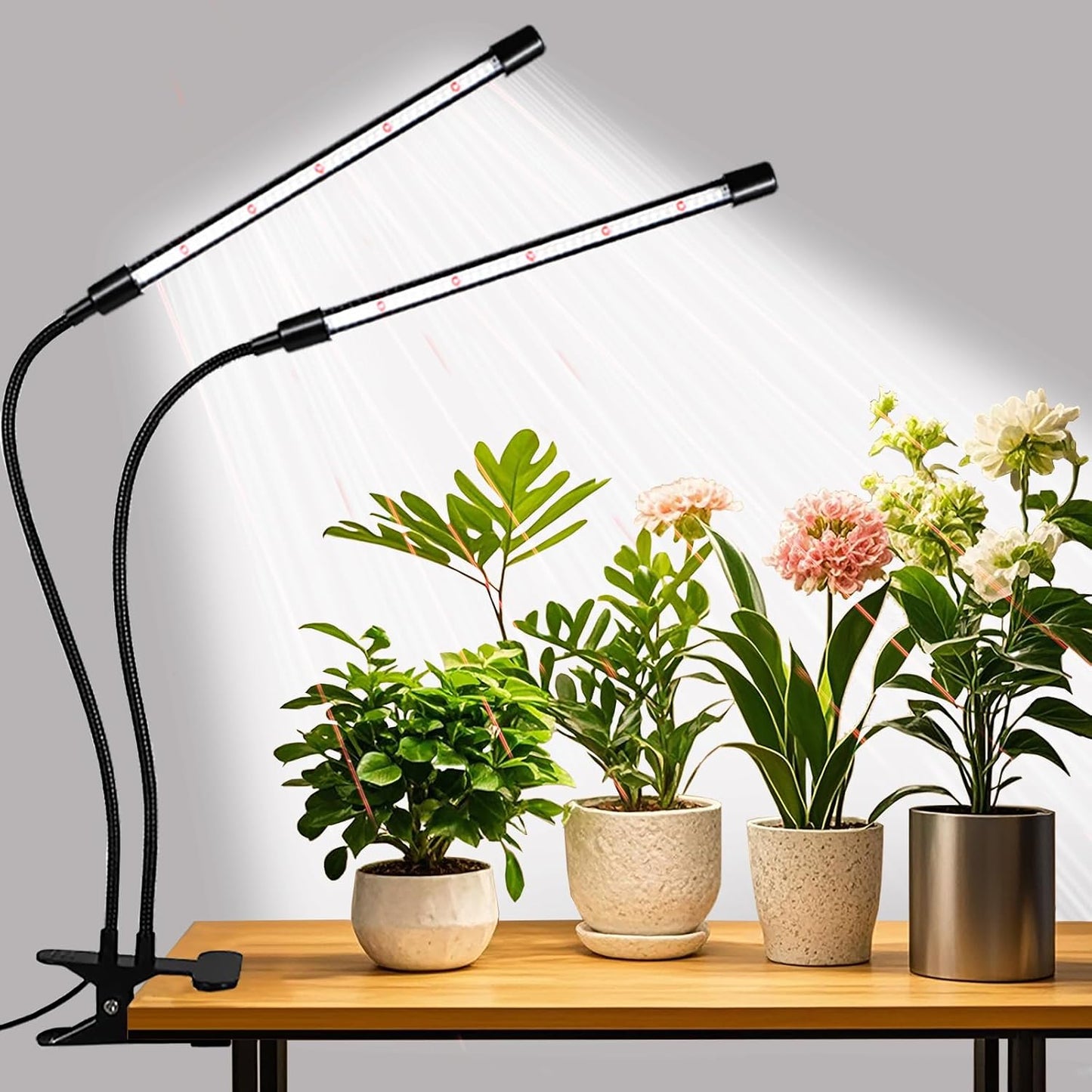 Grow_Lights_for_Indoor_Plants,_Upgrade_84_LEDs_Clip_Plant_Lights,_Full_Spectrum_LED_Plant_Growing_Lamps_with_Flexible_Gooseneck,_3/9/12H_Timer,_3_Spectral_Modes,_10_Dimmable_Levels_(2_Head_1_pack)