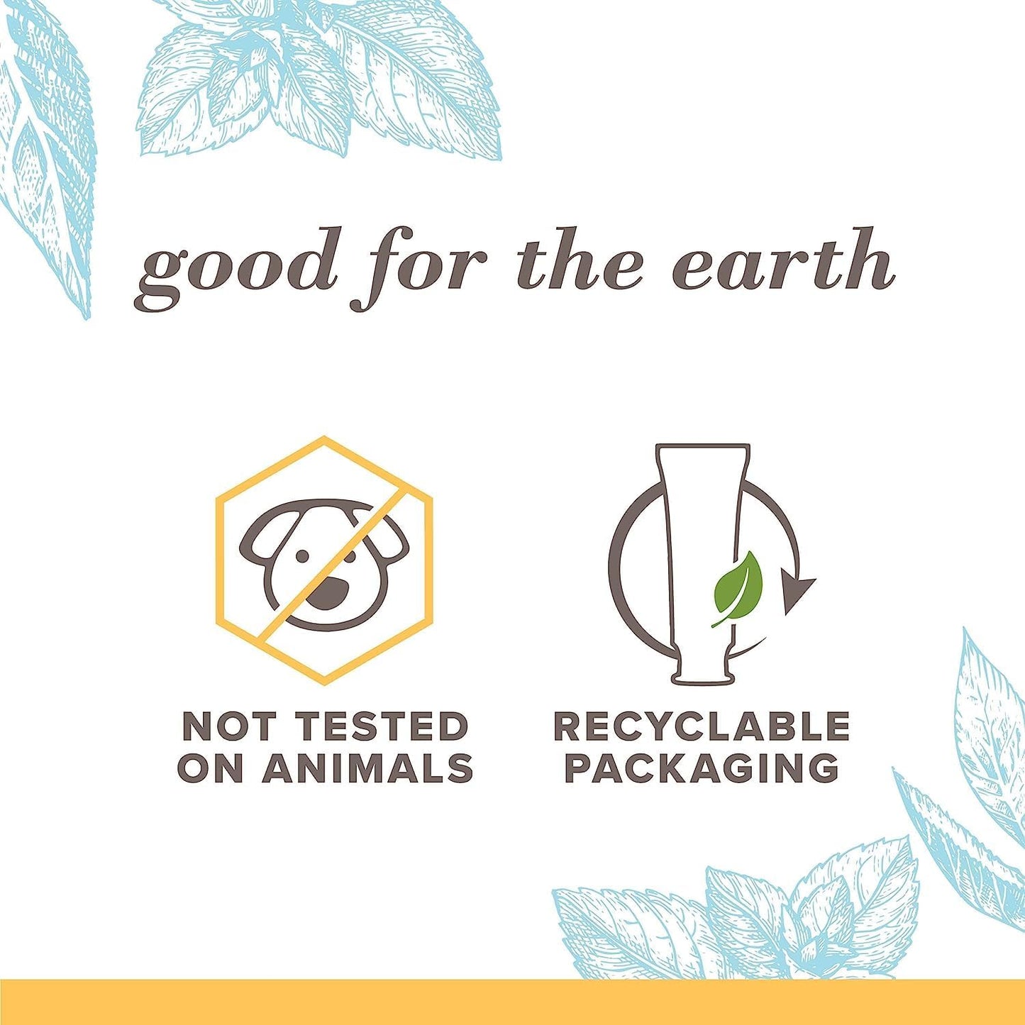 Burt's_Bees_Extra_White_Toothpaste,_Fluoride_Toothpaste,_Natural_Flavor,_Mountain_Mint,_4.7_oz,_Pack_of_3