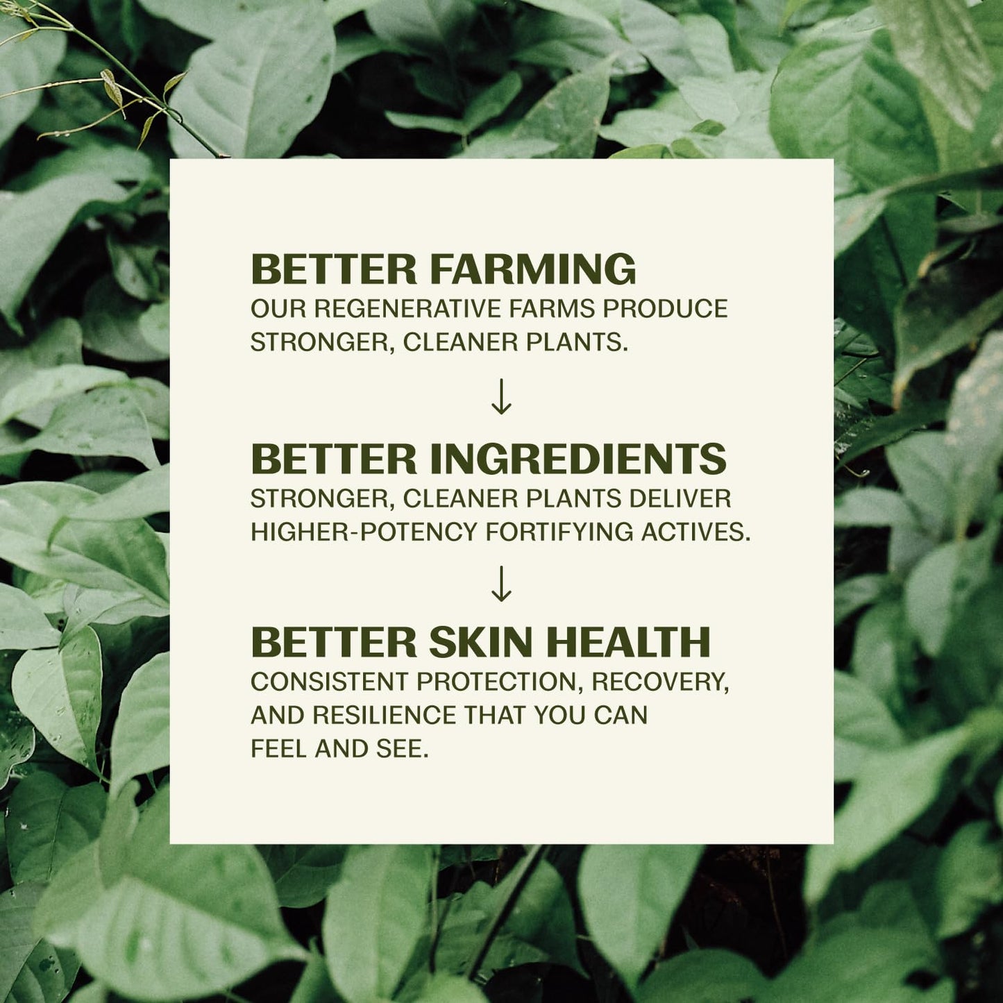 Thrive_Natural_Care_Reef_Safe_Sunscreen_SPF50_-_Hawaii_104_Reef_Act_Compliant_-_Mineral_Sunscreen_Non-Nano_Zinc_Oxide_-_Vegan,_(5.8_Oz_(Pack_of_1))