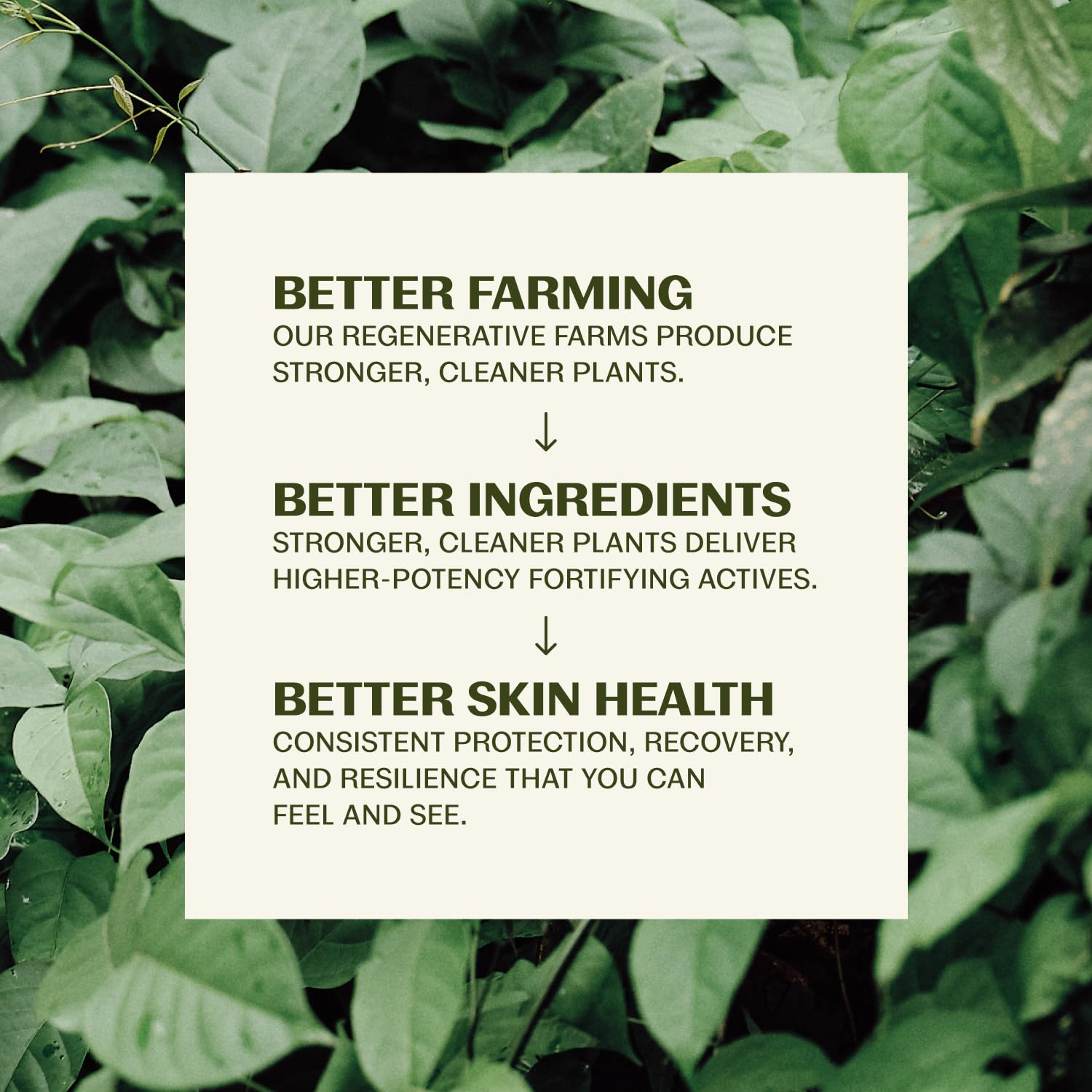 Thrive_Natural_Care_Reef_Safe_Sunscreen_SPF50_-_Hawaii_104_Reef_Act_Compliant_-_Mineral_Sunscreen_Non-Nano_Zinc_Oxide_-_Vegan,_(5.8_Oz_(Pack_of_1))