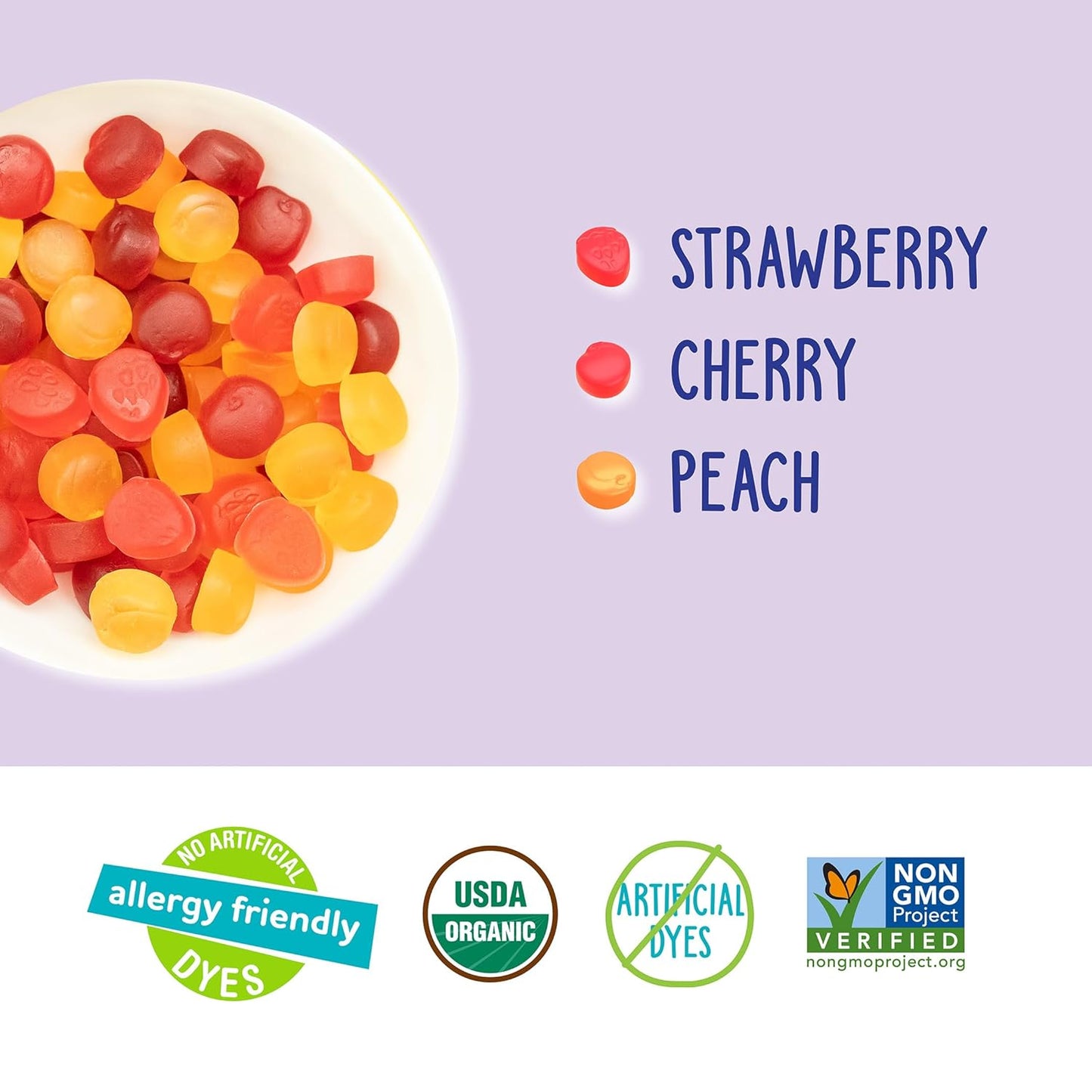 YumEarth_Organic_Fruit_Snacks_Box,_0.7_Ounce_(Pack_of_10)