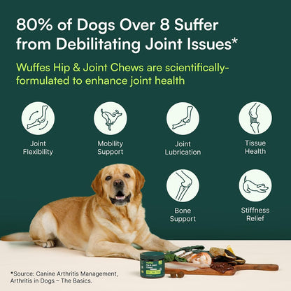 Advanced_Dog_Hip_and_Joint_Supplement_with_Glucosamine,_Chondroitin,_Omega_3,_MSM,_and_Green_Lipped_Mussel,_30_Pork_Flavored_Chews_for_Large_Dog_Breeds