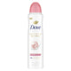3.8 Ounce (Pack of 1) - Beauty Finish