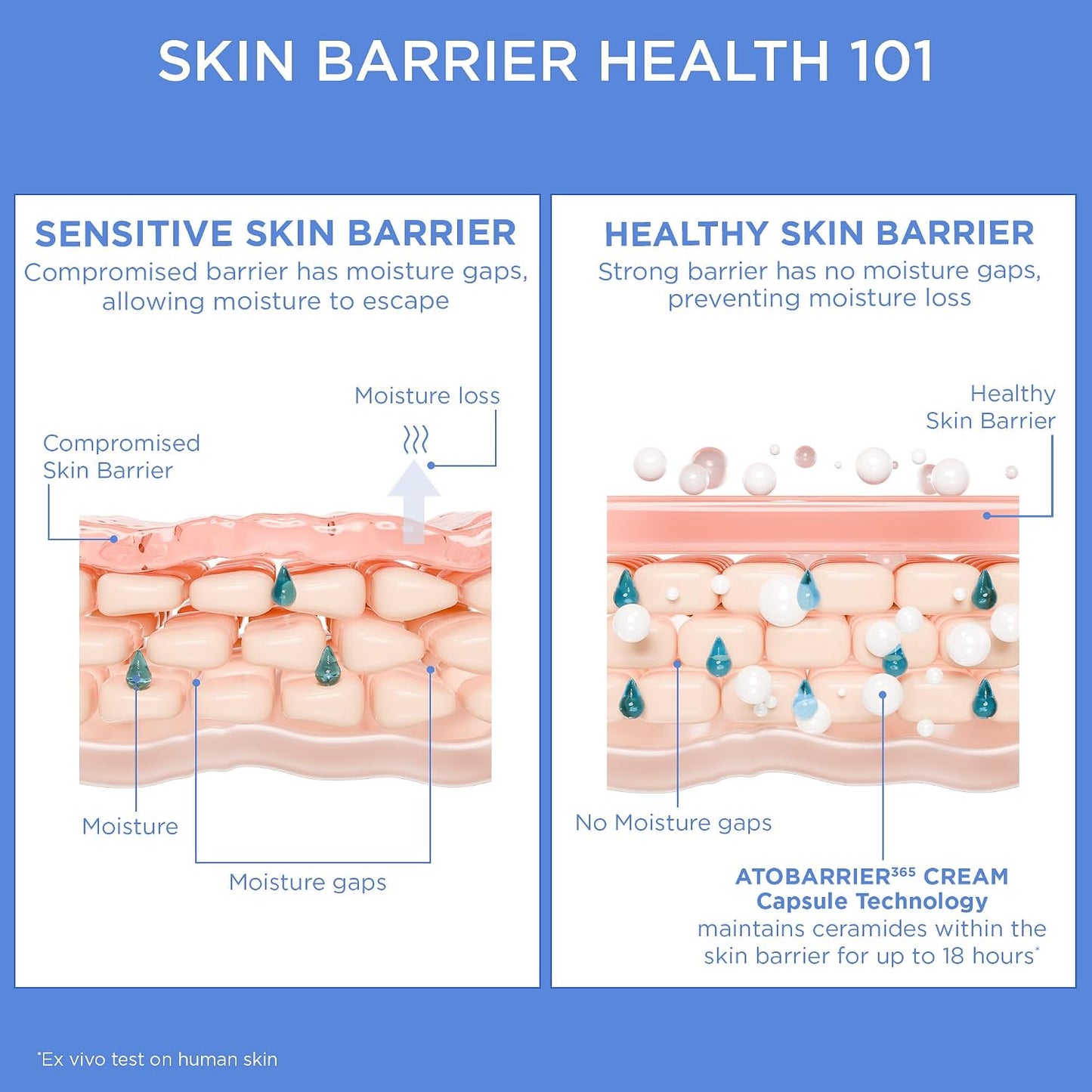AESTURA_ATOBARRIER365_Cream_with_Ceramides,_Korean_Face_Moisturizer_for_Barrier_Repair_|_120H_lasting_Hydration,_Ceramide_Capsules,_Dry_&_Sensitive_Skin,_Non-comedogenic,_80_mL_/_2.70_fl.oz.