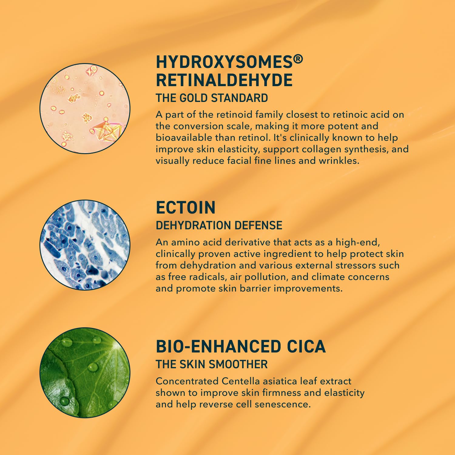 Prequel_Skin_Retinal_Renew_–_0.1%_Retinaldehyde_Gel_with_Ectoin,_Cica_&_Jojoba_Oil_–_Smooths_Texture,_Firms_&_Evens_Tone_–_Supports_Skin_Barrier_–_Dermatologist_Developed_–_Low-Irritation_Retinoid