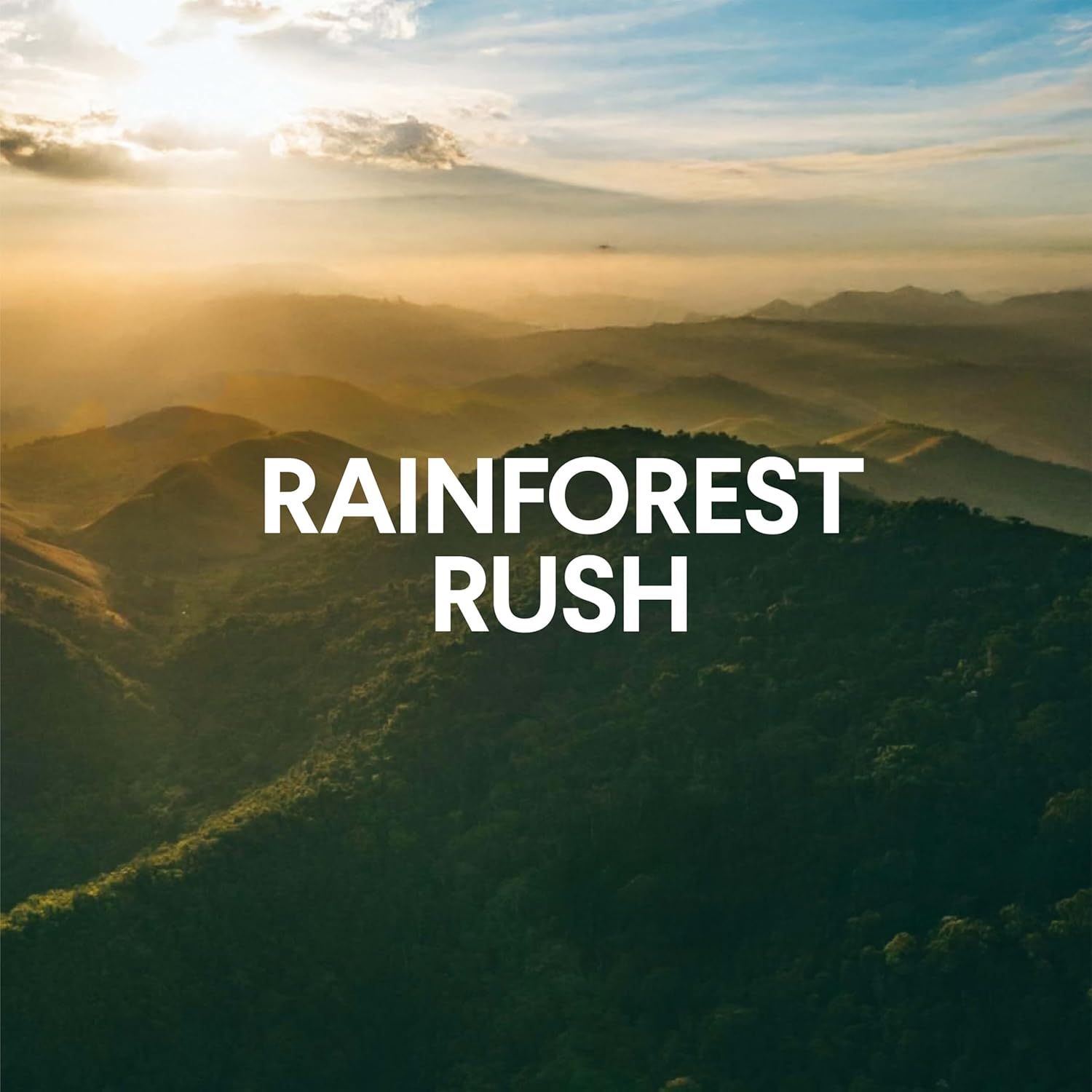 Clorox_ToiletWand_Toilet_Cleaner_Refills,_Toilet_brush,_Rainforest_Rush,_10_Ct