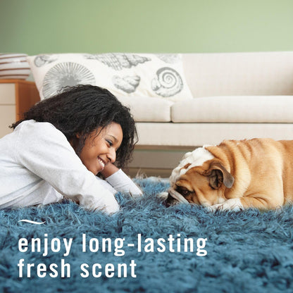 Febreze_Fabric_Spray_Air_Freshener,_Odor-Fighting_Fabric_Refresher,_Sneaker_Balls_Alternative,_Couch_Cleaner,_Linen_Spray,_Multi-Use,_Pet_Odor_Fighter_Scent,_23.6_fl_oz