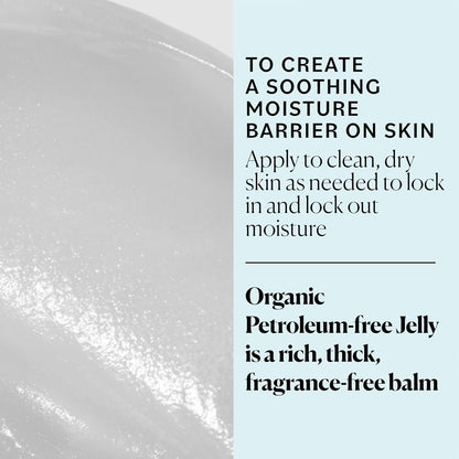 Sky_Organics_Organic_Petroleum-free_Jelly,_Multi-Purpose_Skin_Care_Balm_with_Organic_Shea_Butter,_Coconut_Oil,_Olive_Oil_&_Vitamin_E,_Moisturizing_Lip_Balm_&_Moisturizer_for_Dry_Skin,_2.5_Oz