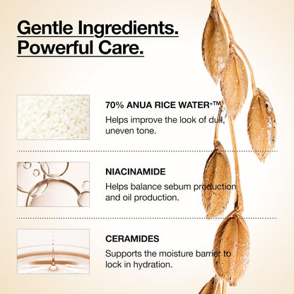 Anua_Rice_70_Glow_Milky_Toner,_Glass_&_Dewy_Skin,_Hydrating_&_Barrier_Care,_Rice_Water,_Niacinamide,_Ceramides,_All_Skin_Types,_Fragrance-Free,_Non_Comedogenic,_Korean_Skincare,_8.45_fl.oz.
