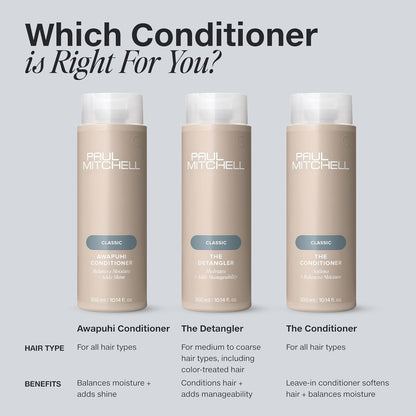 Paul_Mitchell_The_Conditioner,_Classic_Leave-in,_Softens_+_Adds_Moisture,_for_All_Hair_Types