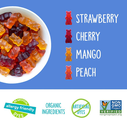 YumEarth_Organic_Gummy_Bears_-_Fruity_Gummy_Candy_Snack_Packs,_Gluten_Free_Snacks_for_Kids_-_Allergy_Friendly,_Non-GMO,_No_Artificial_Dyes_-_Assorted_Flavors,_10.5_oz._(Pack_of_15)