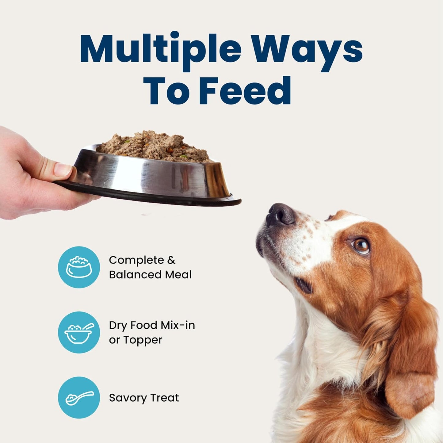 Blue_Buffalo_Homestyle_Recipe_Wet_Dog_Food_Pate_Variety_Pack,_Turkey_Meatloaf_Dinner_&_Lamb_Dinner_with_Garden_Vegetables,_Made_with_Natural_Ingredients,_12.5-oz._Can_(6_Count,_3_of_Each)
