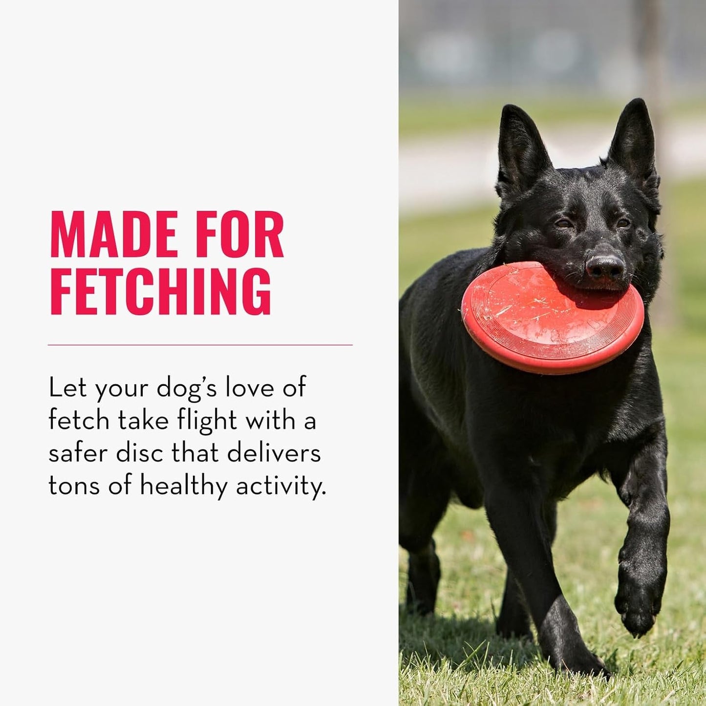 KONG_Flyer_-_Durable_Dog_Toy_for_Outdoor_Playtime_-_Natural_Rubber_Flying_Disc,_Dog_Toy_for_Fetch_-_Safer_Disc_for_Healthy_Activity_-_for_Medium/Large_Dogs