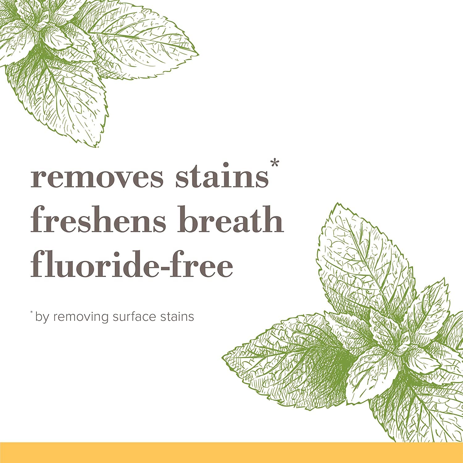 Burt's_Bees_Toothpaste,_Natural_Flavor,_Fluoride-Free,_Purely_White,_Zen_Peppermint,_4.7_oz,_Pack_of_3