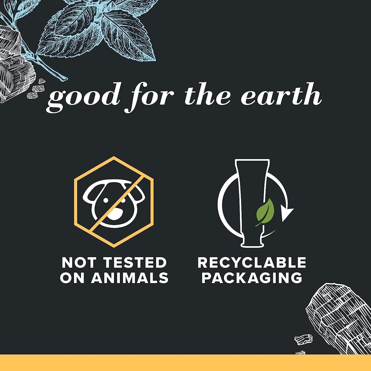 Burt's_Bees_Toothpaste,_Natural_Flavor,_Charcoal_with_Fluoride_Toothpaste,_Mountain_Mint,_3_x_4.7oz