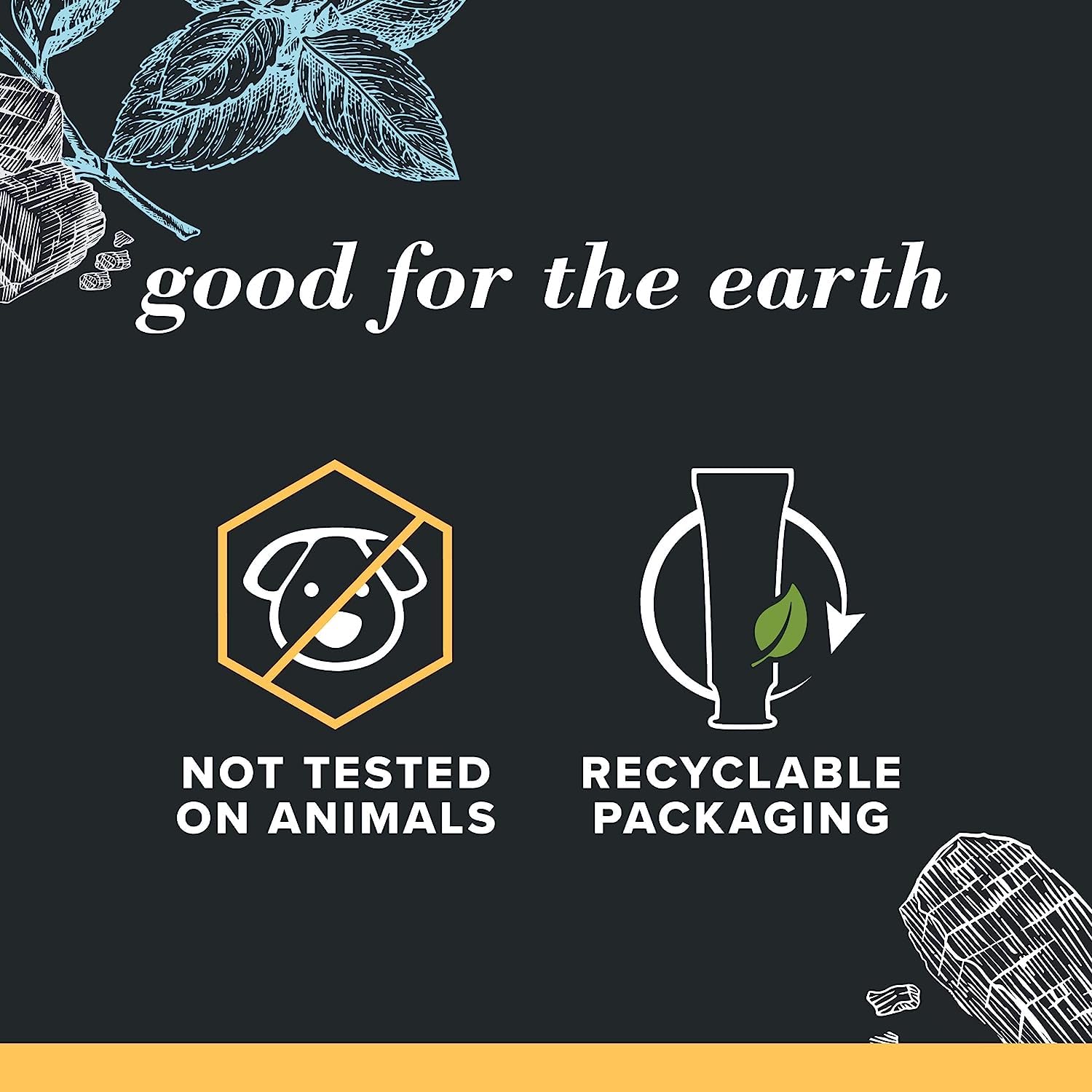 Burt's_Bees_Toothpaste,_Natural_Flavor,_Charcoal_with_Fluoride_Toothpaste,_Mountain_Mint,_3_x_4.7oz