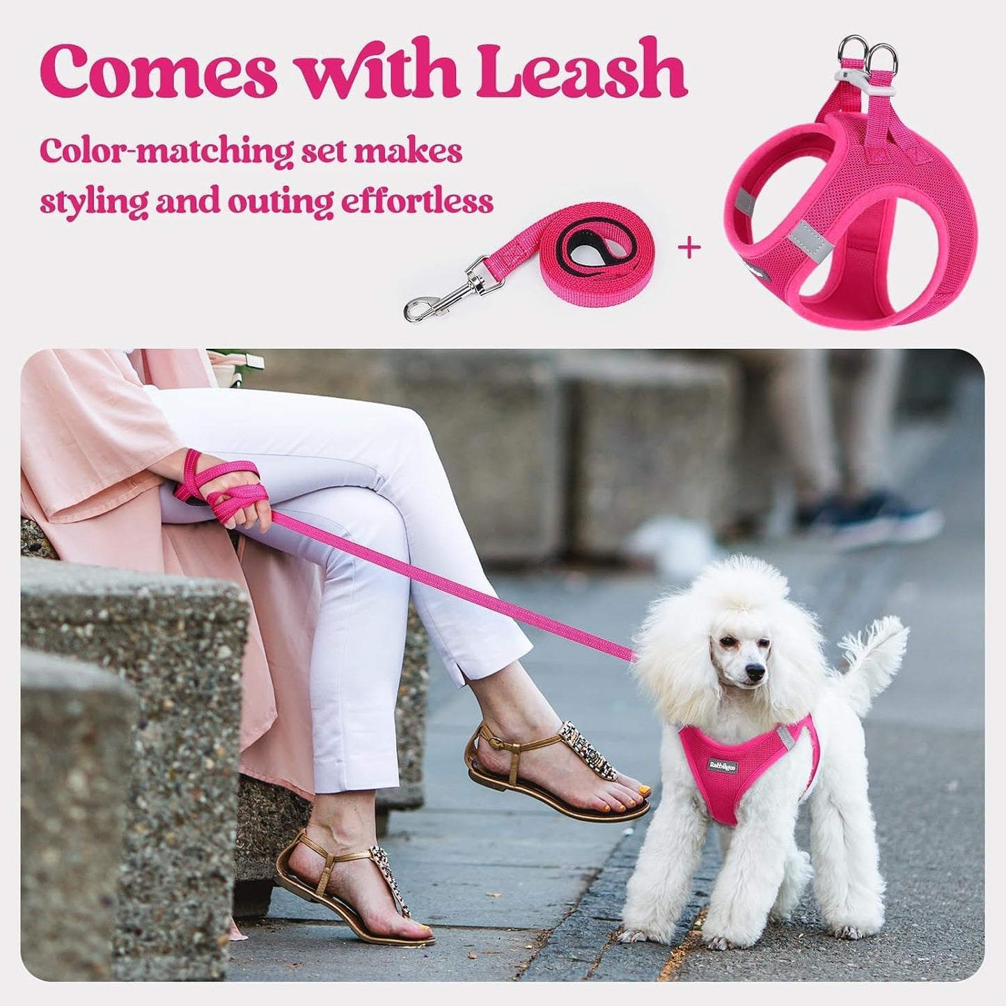 rabbitgoo_Dog_Harness_Small_Sized_and_Leash_Set,_Step_in_Soft_Light_Puppy_Vest,_Breathable_Mesh_Pet_Harness,_Reflective_for_Safe_Easy_Walking,_Rose_Red_S