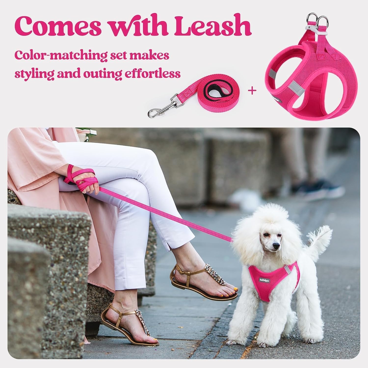 rabbitgoo_Dog_Harness_Small_Sized_and_Leash_Set,_Step_in_Soft_Light_Puppy_Vest,_Breathable_Mesh_Pet_Harness,_Reflective_for_Safe_Easy_Walking,_Rose_Red_S