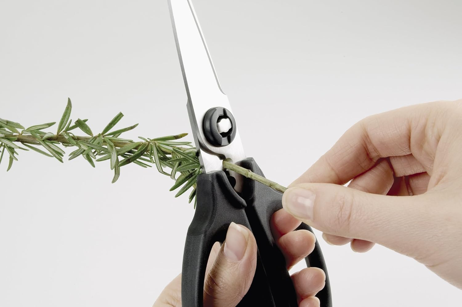 OXO_Good_Grips_Multi-Purpose_Kitchen_and_Herbs_Scissors