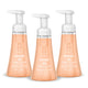 10 Fl Oz (Pack of 3)
