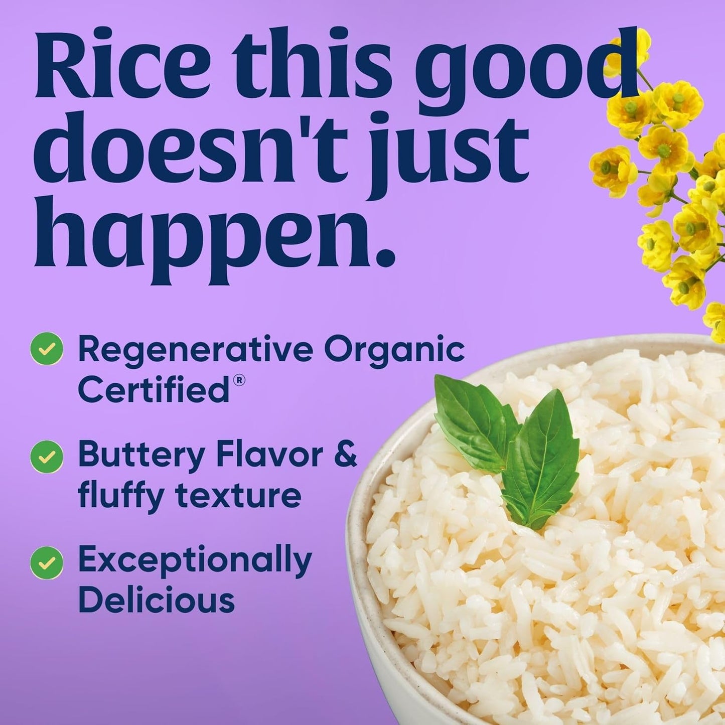 Lundberg_Family_Farms_Organic_Jasmine_Rice,_California_White,_32_Ounce