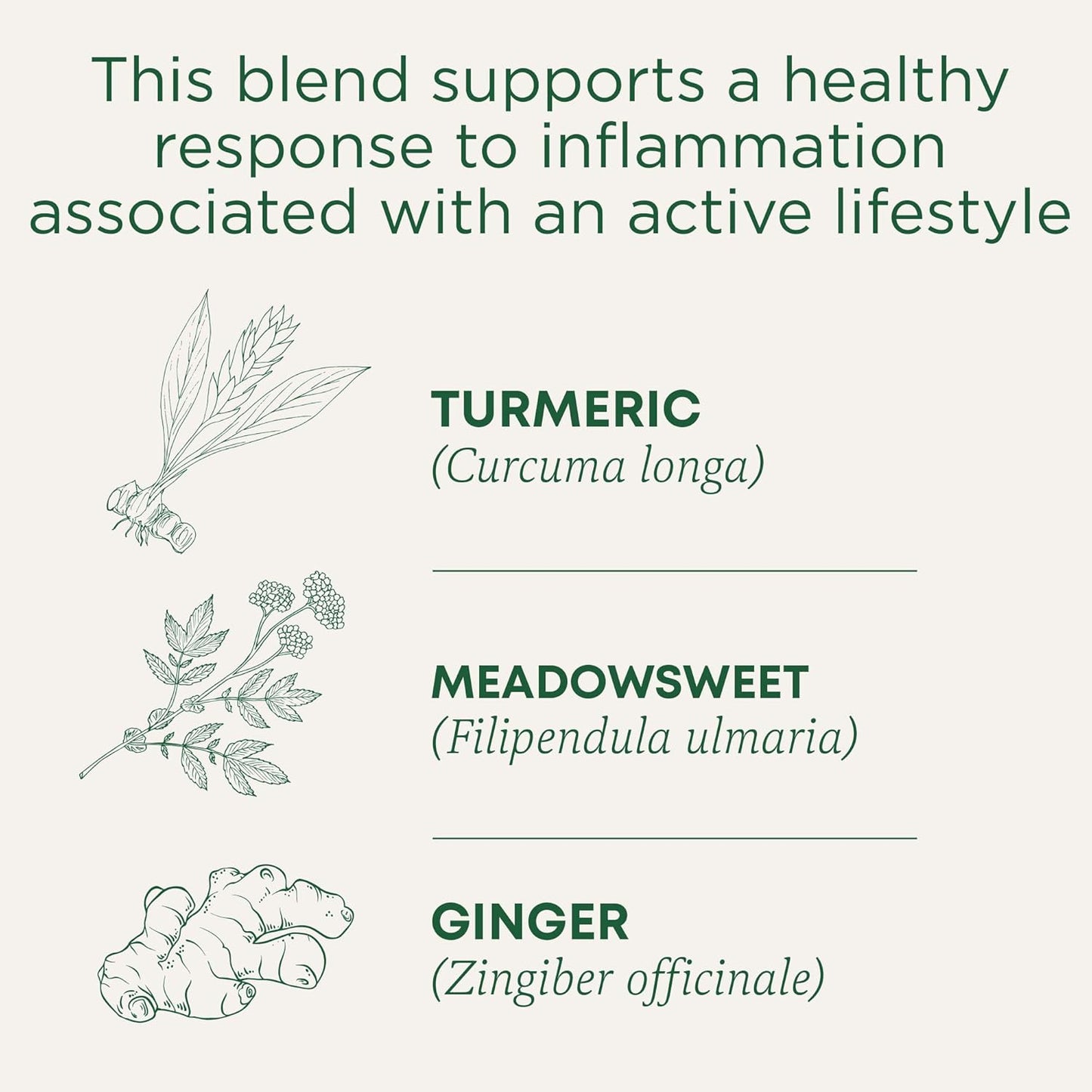 Traditional_Medicinals_Organic,_Turmeric_Tea_with_Ginger_&_Meadowsweet_-_Supports_Normal_Response_to_Inflammation_-_Kosher,_Non-GMO,_Caffeine-Free,_Compostable_-_16_Tea_Bags