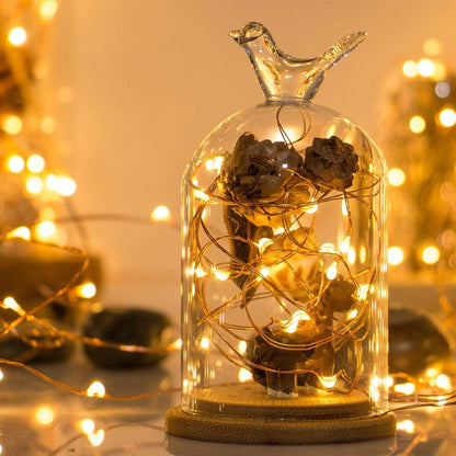 Sanniu_Led_String_Lights,_Mini_Battery_Powered_Copper_Wire_Starry_Fairy_Lights,_Battery_Operated_Lights_for_Bedroom,_Christmas,_Parties,_Wedding,_Centerpiece,_Decoration_(5m/16ft_Warm_White)