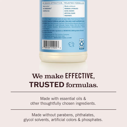 MRS._MEYER'S_CLEAN_DAY_Multi-Surface_Everyday_Cleaner,_Rain_Water_Scent,_16_Fl_Oz_Bottle